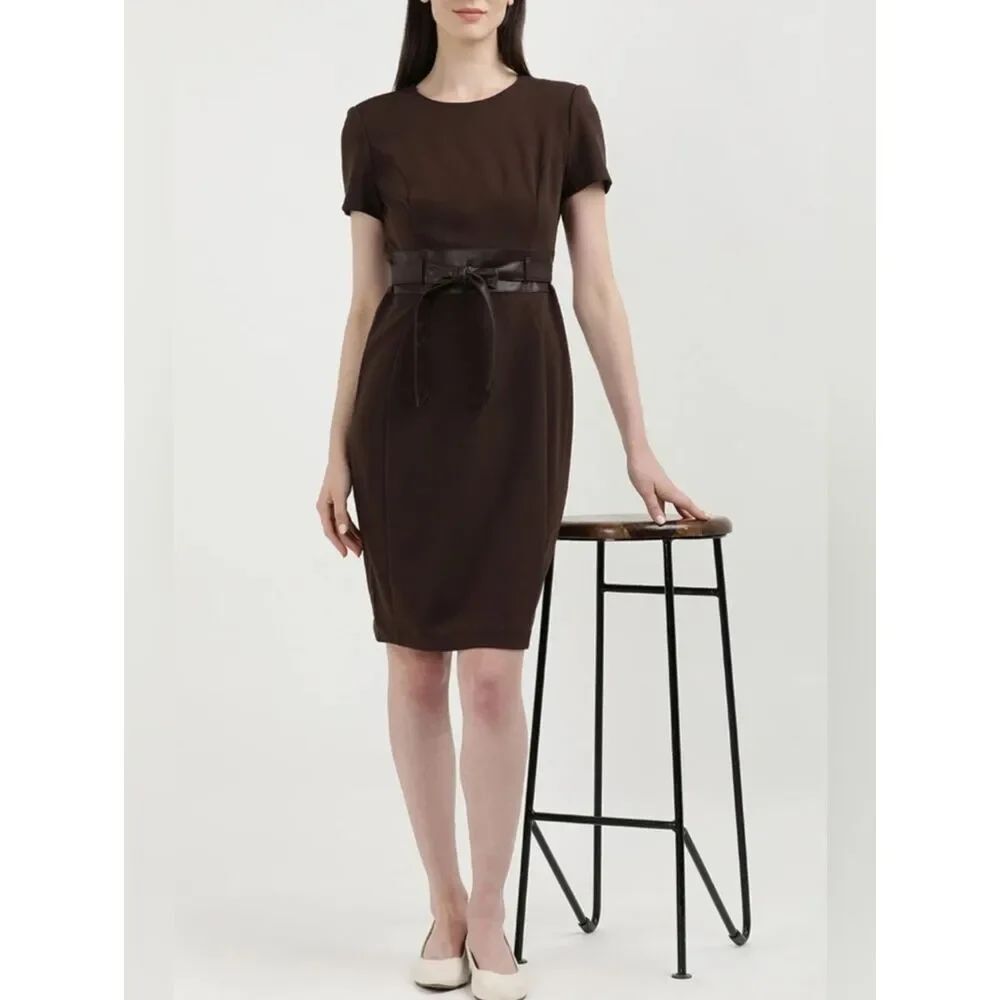 Calvin Klein Classic Brown Dress. Career. Professional.